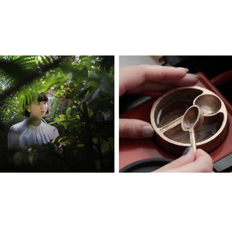 ジュラシック・パーク 太古の樹木プレート （限定化粧箱） パン