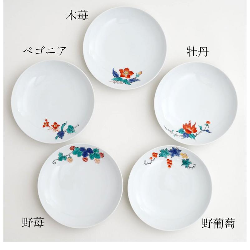 肥前赤絵窯元 鷹巣 絵変わり5寸丸皿（5枚組） 有田焼 皿 お皿 平皿 盛