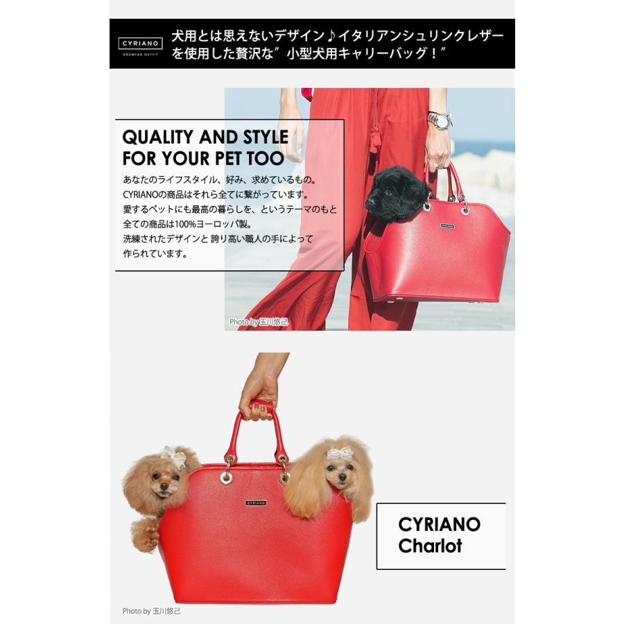 犬用キャリーバッグ、スリング 小型犬用 お洒落な2WAYキャリー