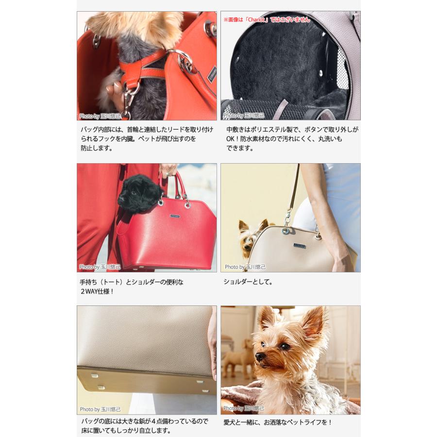 犬用キャリーバッグ、スリング 小型犬用 お洒落な2WAYキャリー