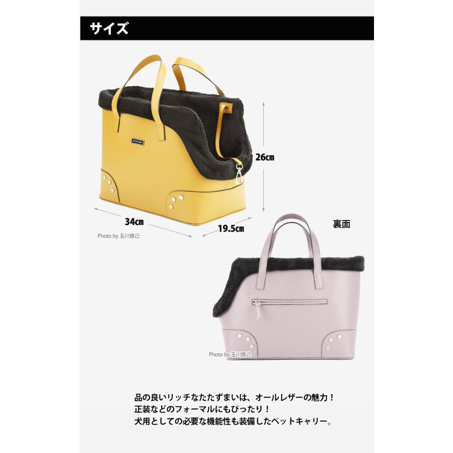 犬用キャリーバッグ、スリング 小型犬用 お洒落なキャリー CYRIANO