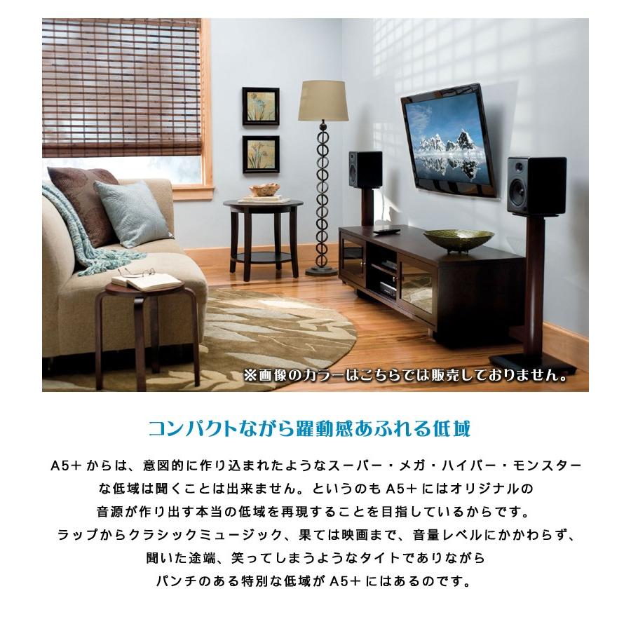 価格帯を超えた圧倒的な高音質を実現 Audioengine A5+ パワード 価格帯を超えた圧倒的な高音質を実現 Audioengine A5+ パワード