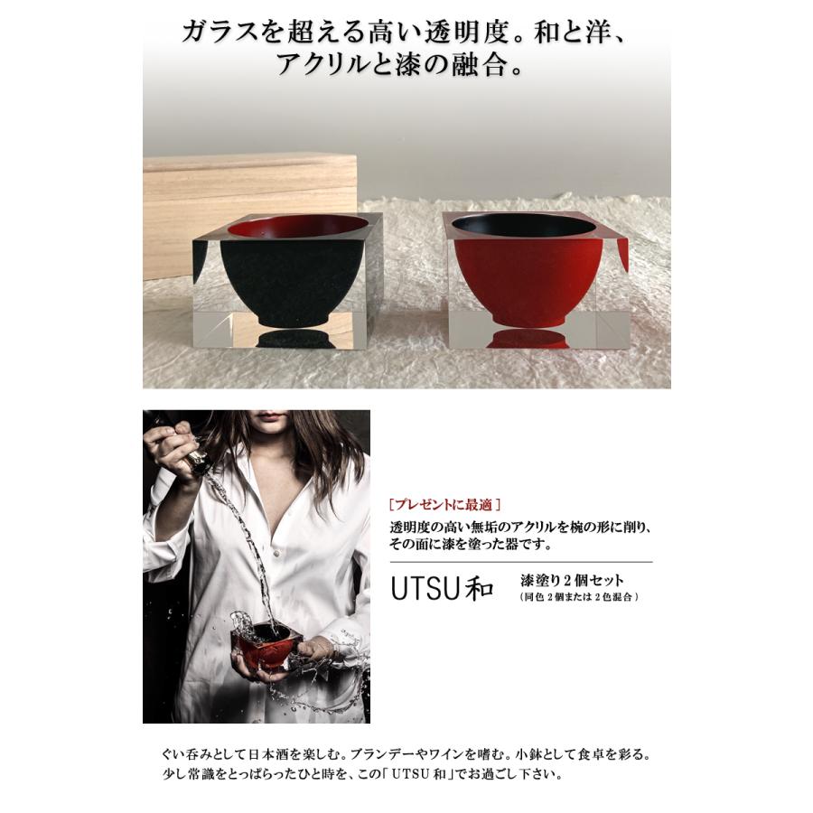 UTSU和 ペア高級酒器 ZEROMISSION 送料無料 アクリル×漆 2個セット