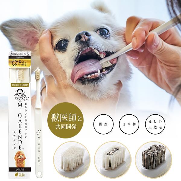 ミガケンデ MIGAKENDE 天然毛 歯ブラシ 犬用 愛犬 小型犬 犬用歯ブラシ