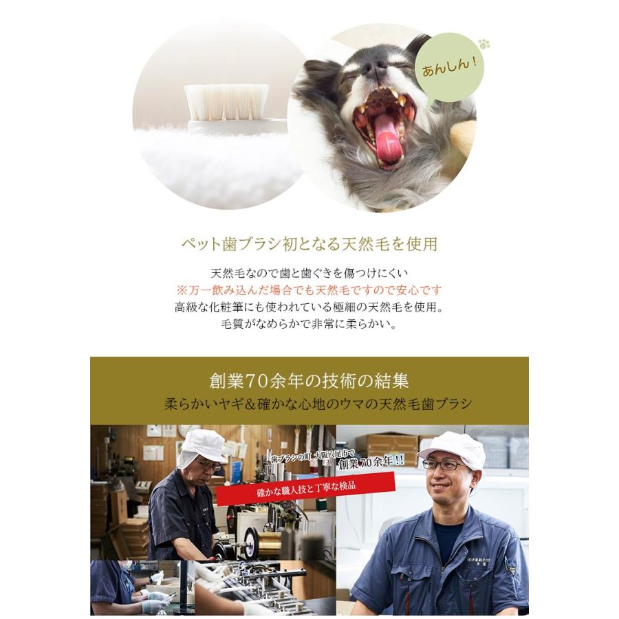 かわいい～！」 Good-Products-Japan小型犬用 歯ブラシ 12本 超