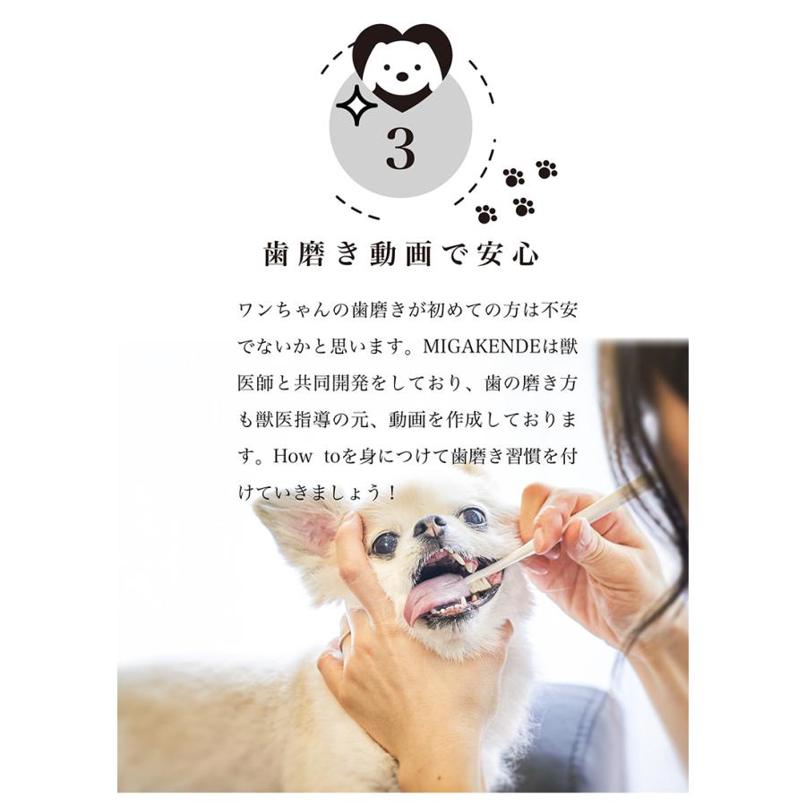 ミガケンデ MIGAKENDE 天然毛 歯ブラシ 犬用 愛犬 小型犬 犬用歯ブラシ