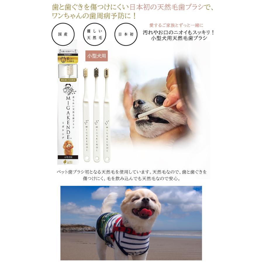 ミガケンデ 歯ブラシ」と「ペット専用歯磨きジェル ペティ86g」の