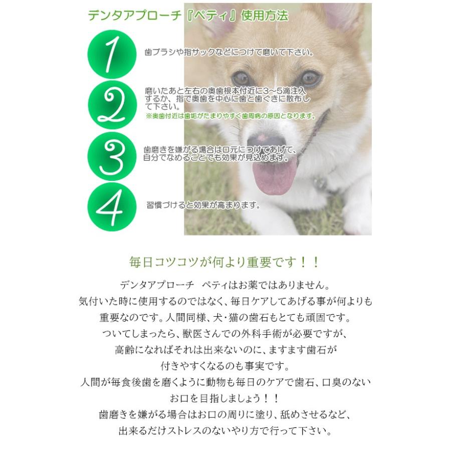 ミガケンデ 歯ブラシ と ペット専用歯磨きジェル ペティ86g のセット Migakende 天然毛 デンタアプローチ コウヤマキ エキス 犬用 愛犬 小型犬 Sima41 想いを繋ぐ百貨店 Tsunagu 通販 Yahoo ショッピング