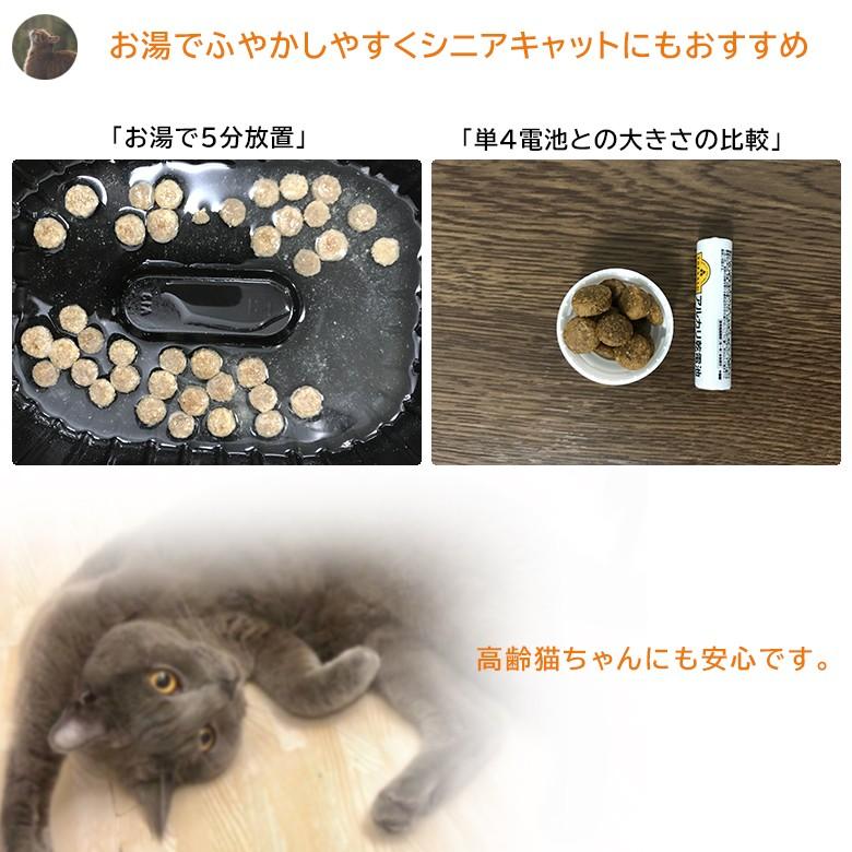 お試し150g 最高級ペットフード オーガニック Fokker BIO キャット 栄養 キャットフード 餌 エサ 猫用 グルテンフリー 合成保存料 酸化防止剤 香料 着色料不使用｜offer1999｜07