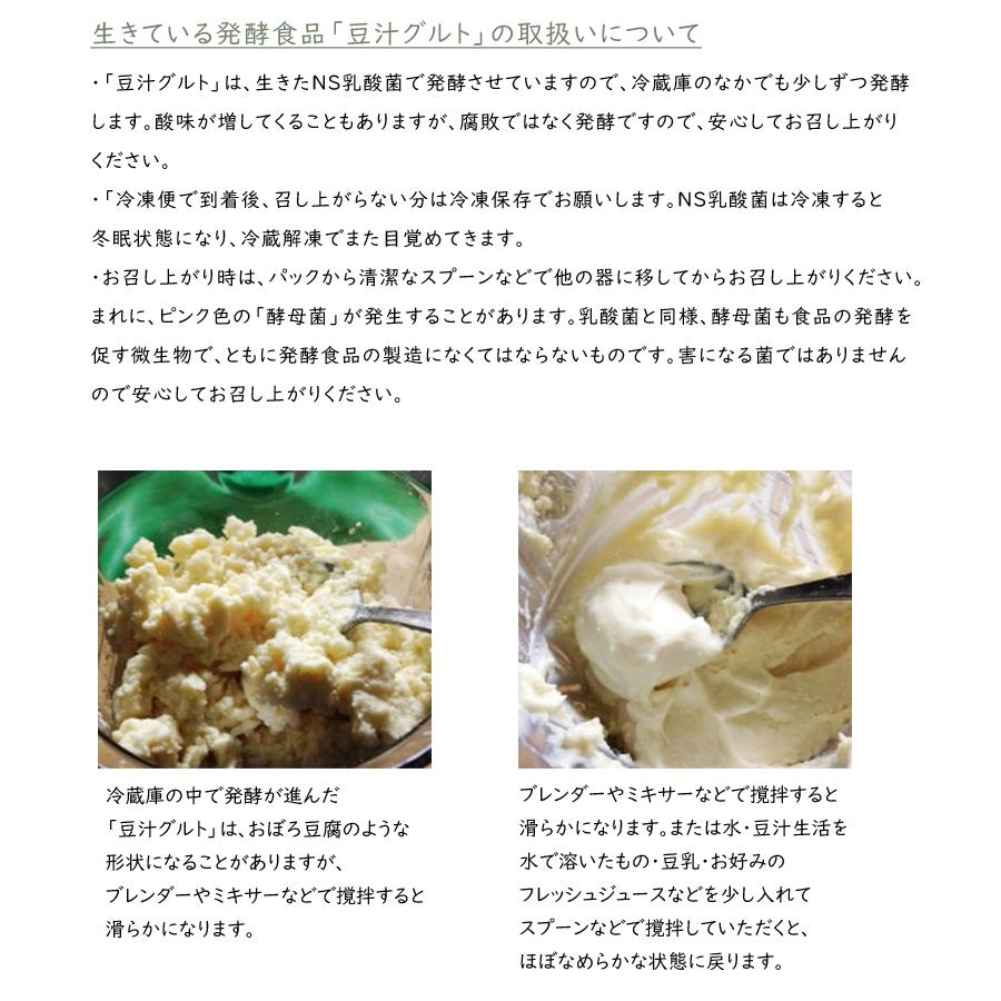 豆汁グルト とうじゅうぐると 450ｇ 味を選べる12個セット 冷凍 プレマラボ 発酵食品 豆乳ヨーグルト 大豆 イソフラボン 乳酸菌 Sima2267 想いを繋ぐ百貨店 Tsunagu 通販 Yahoo ショッピング