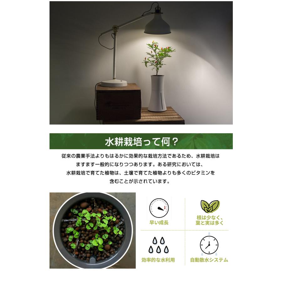 在庫限りで販売終了 ポイント15倍☆ BOTANIUM ボタニアム スマート
