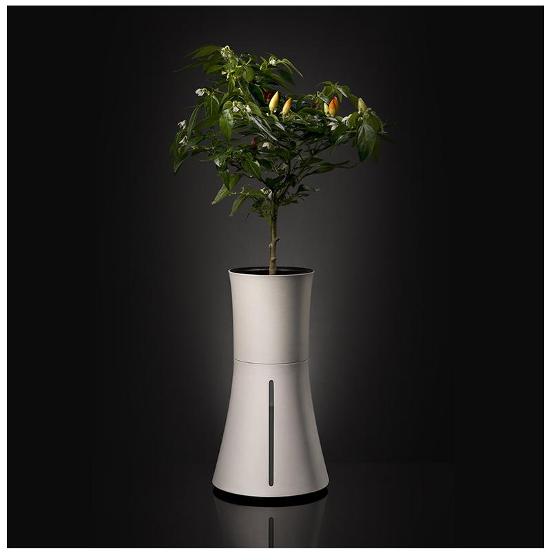 在庫限りで販売終了 ポイント15倍☆ BOTANIUM ボタニアム