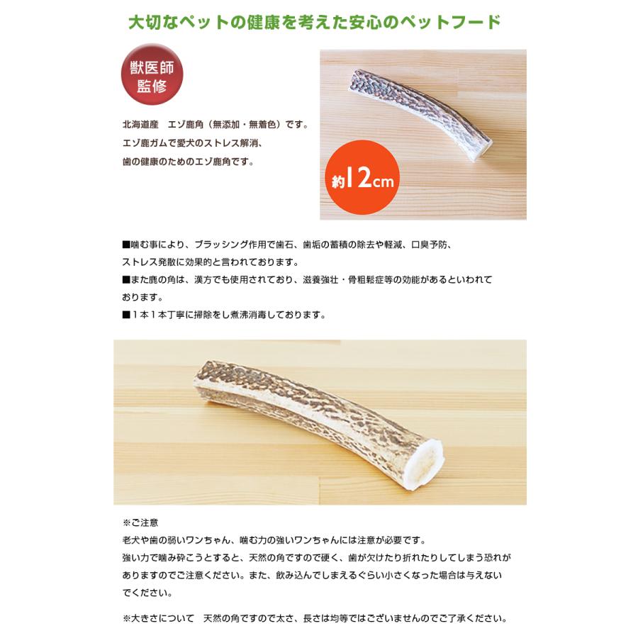 北海道産 エゾ鹿角（無着色）エゾ鹿ガム ストレス解消 歯 鹿つの 鹿