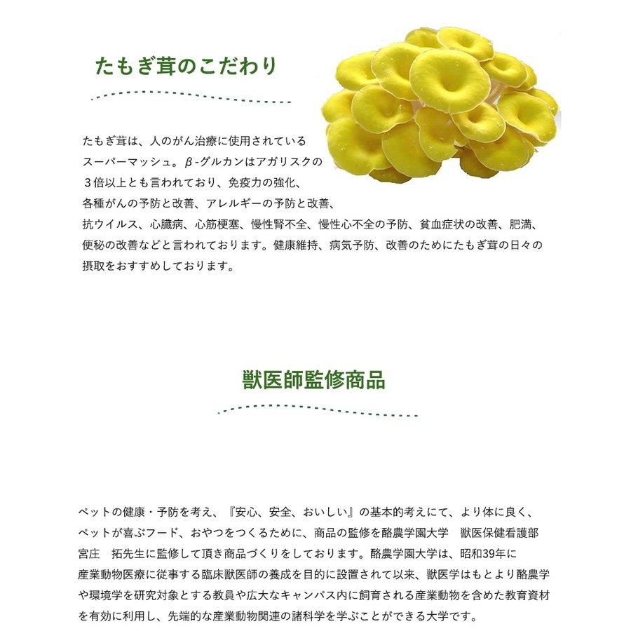 北海道産 エゾ鹿角（無着色）エゾ鹿ガム ストレス解消 歯 鹿つの 鹿