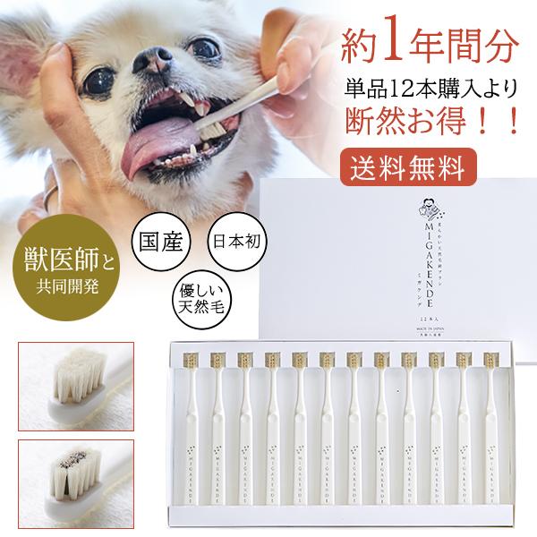 楽天カード分割 ミガケンデ Migakende 12本ギフトセット まとめ買い お得 約1年間分 天然毛 歯ブラシ 犬用 愛犬 ワンちゃん 小型犬 犬用歯ブラシ 歯周病 ヤギ ウマ 日本製 最適な価格 Cloud Mydl Fr