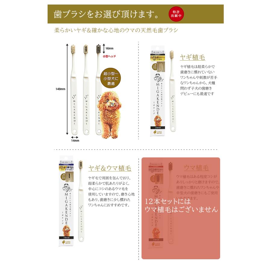 在庫限りで販売終了 ポイント15倍☆ ミガケンデ MIGAKENDE 12本ギフト