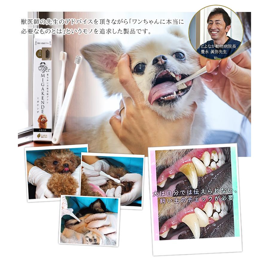 在庫限りで販売終了 ポイント15倍☆ ミガケンデ MIGAKENDE 12本ギフト