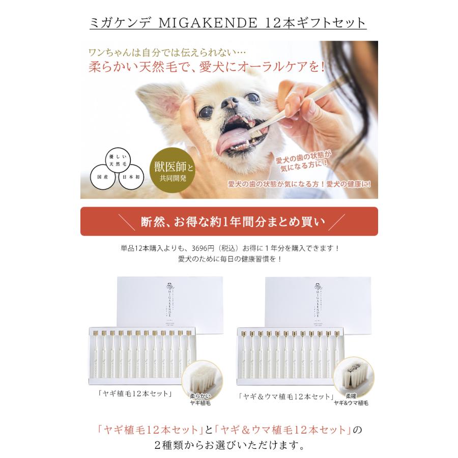 在庫限りで販売終了 ポイント15倍☆ ミガケンデ MIGAKENDE 12本ギフト