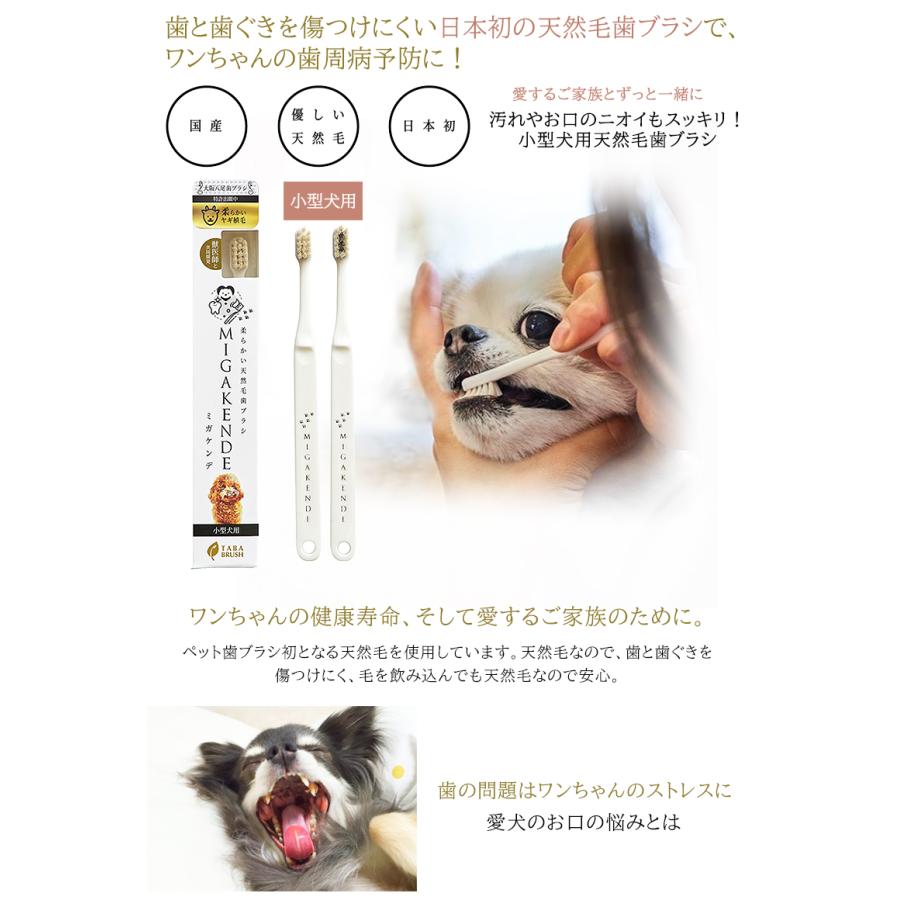 在庫限りで販売終了 ポイント15倍☆ ミガケンデ MIGAKENDE 12本ギフト
