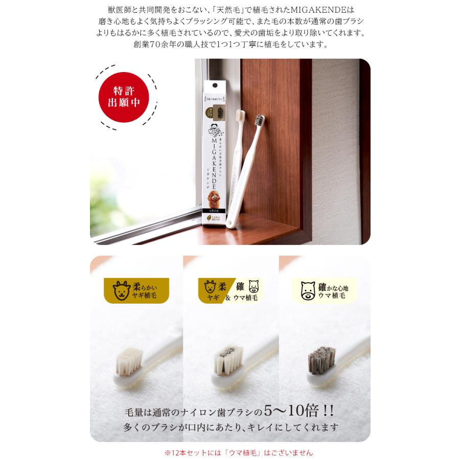 在庫限りで販売終了 ポイント15倍☆ ミガケンデ MIGAKENDE 12本ギフト