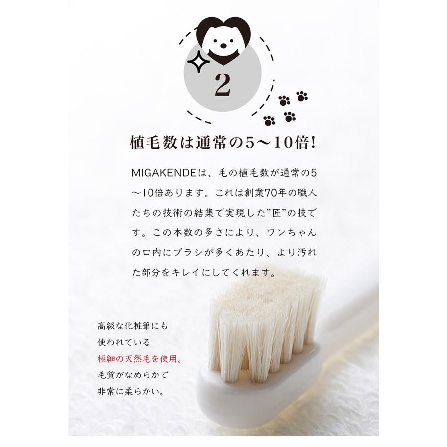手芸用　羊毛　1キロ　未使用 在庫限りで販売終了 ポイント15倍☆ ミガケンデ MIGAKENDE 12本ギフト