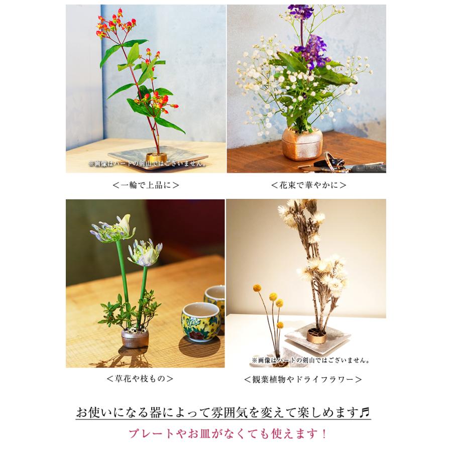 KAMAHACHI ハートの剣山 行列のできる法律相談所 剣山 Kenzan