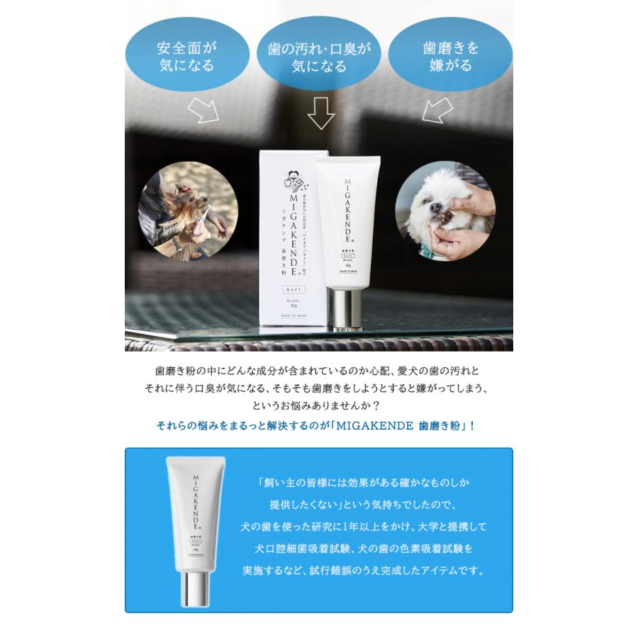 ミガケンデ 歯磨き粉 研磨剤不使用 歯みがき粉 40g 小型犬 無添加 Migakende 愛犬 バイオアパタイト 歯磨きジェル ワンちゃん