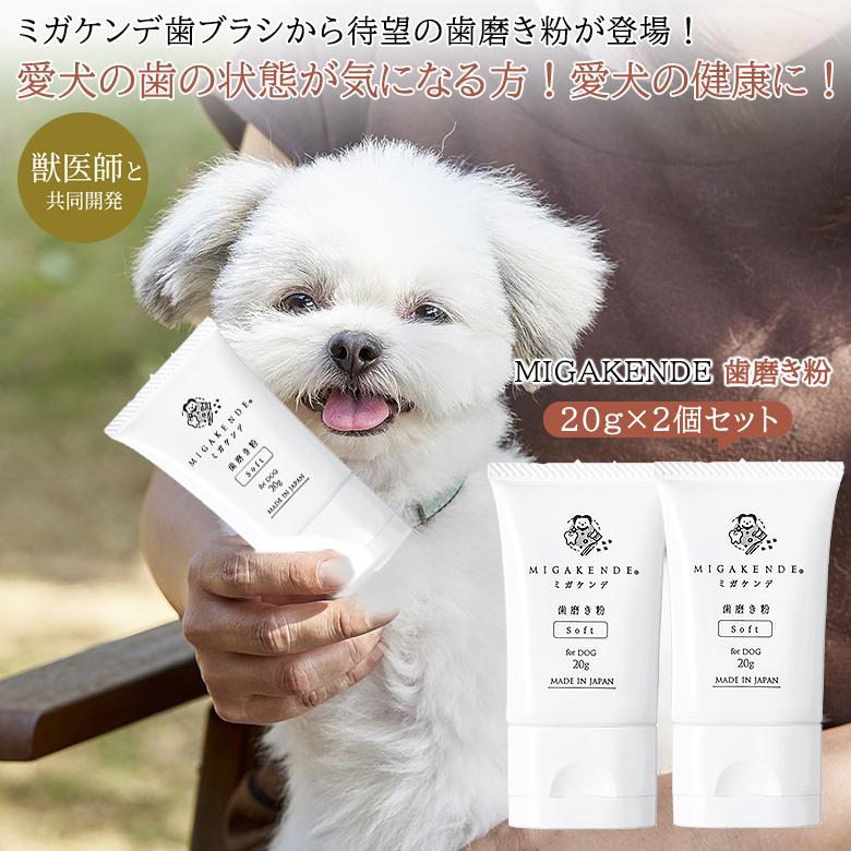 【即購入OK】ミキ　アルゴサンテ【薬用歯磨】　5本×１セット Amazon | ミキ アルゴサンテ 歯磨 90g 5本入り ＜原産国