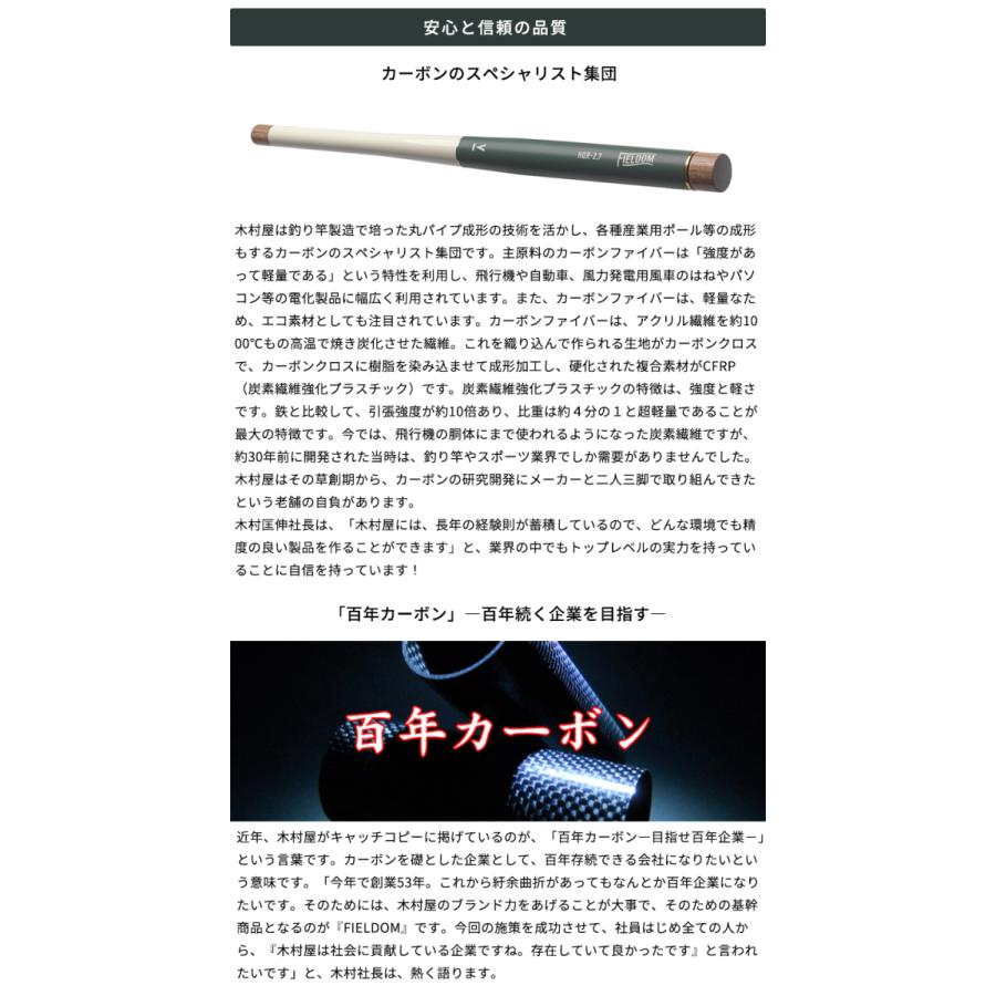 フィールダム FIELDAM 専用仕掛けセット 釣り竿 コンパクト フィールダム FIELDAM 専用仕掛けセット 釣り竿 コンパクト