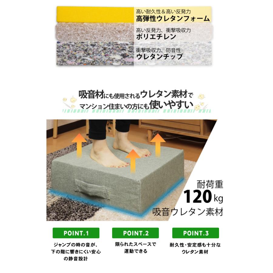 日本ソフケン パーフェクトエクサ バランスクッション トランポリン クッション 日本ソフケン パーフェクトエクサ バランスクッション 割引