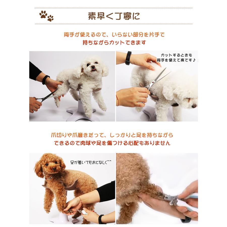 リニューアルバージョン サムソンサロン クッションセット samson