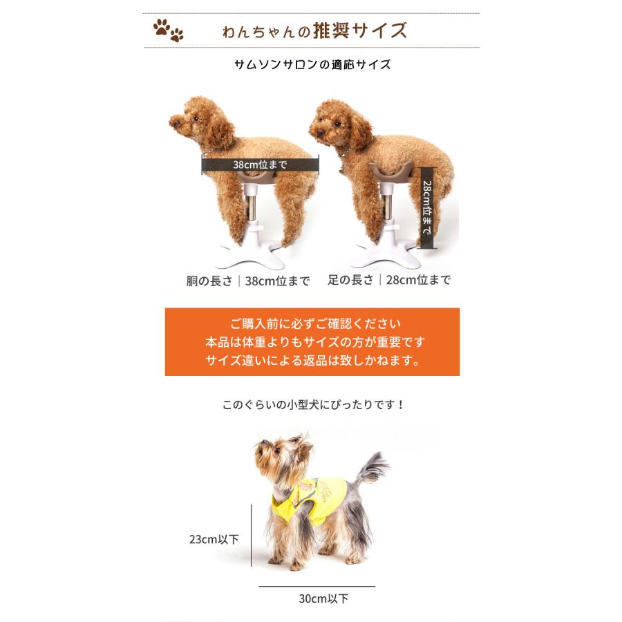 リニューアルバージョン サムソンサロン クッションセット samson