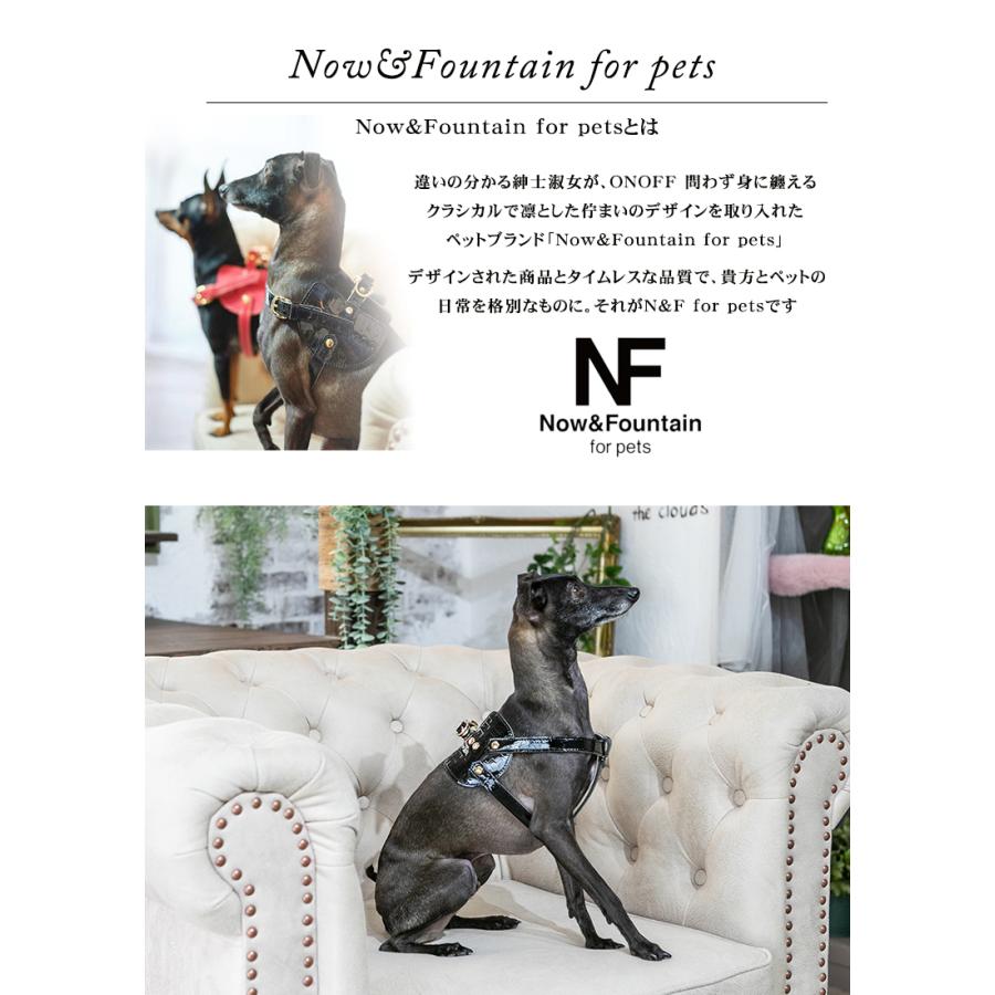 Now＆Fountain ナウアンドファウンテン ボディベルト