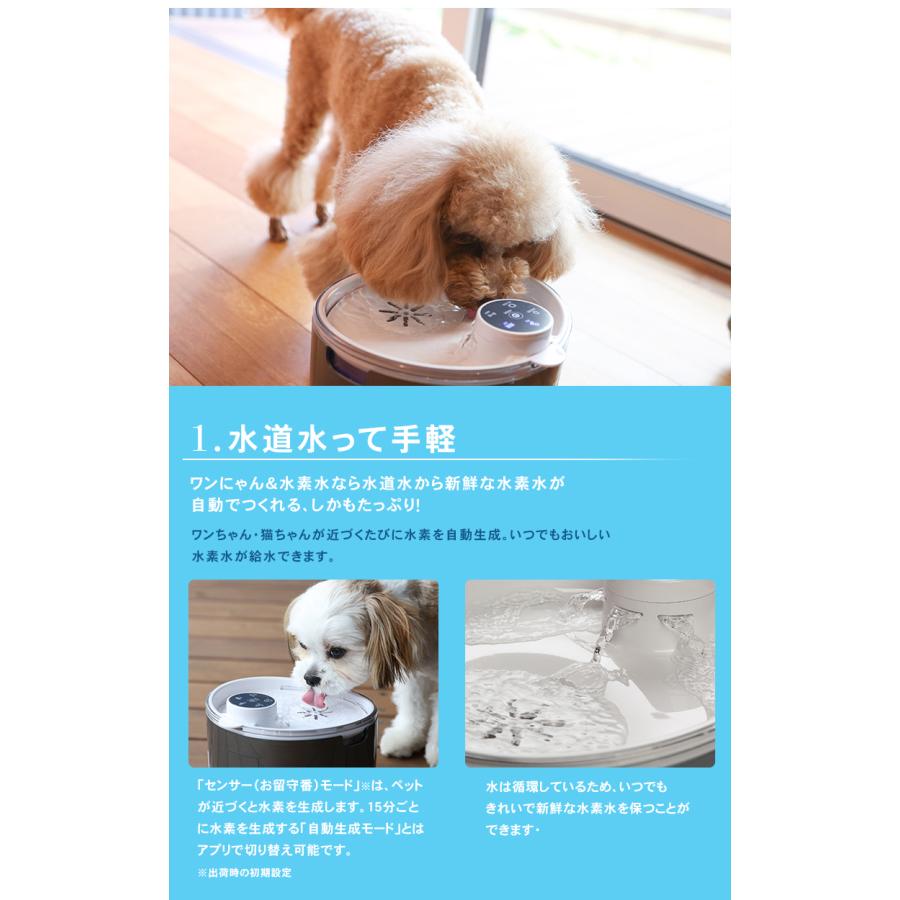 ワンにゃん&水素水 ペット用水素自動給水器 新鮮 水素水 高濃度 ワンにゃん&水素水 ペット用水素自動給水器 新鮮 水素水 高濃度