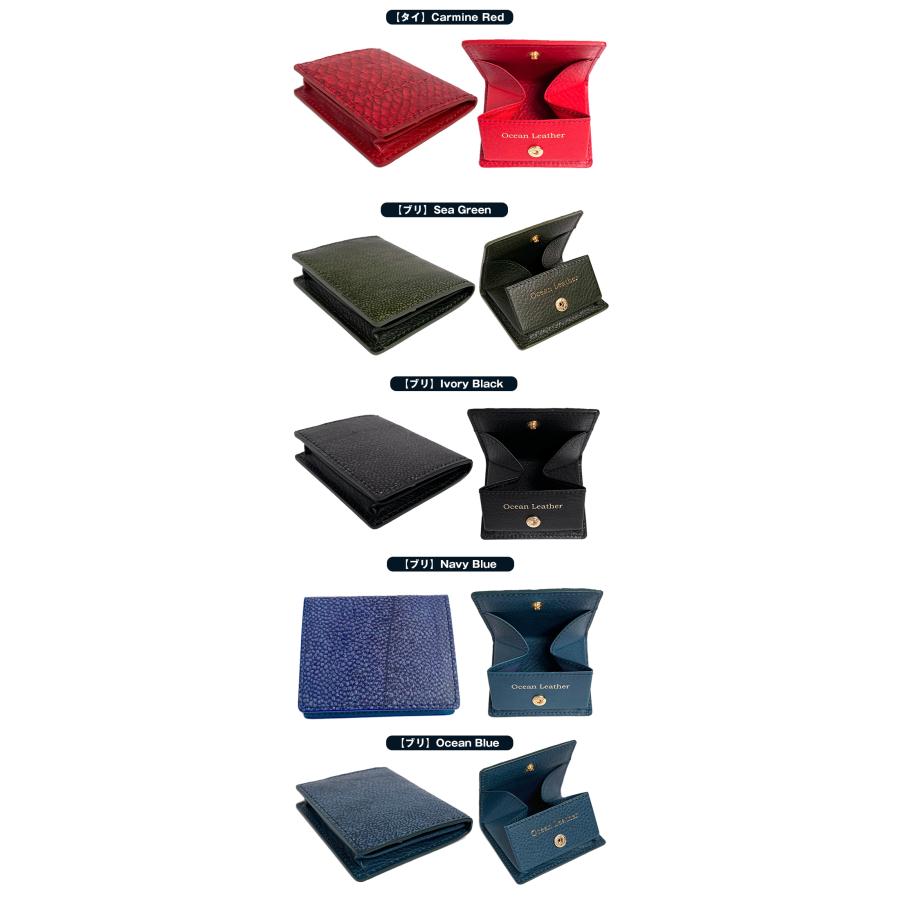 フィッシュレザー 革 魚 Ocean Leather BOXコインケース アップ
