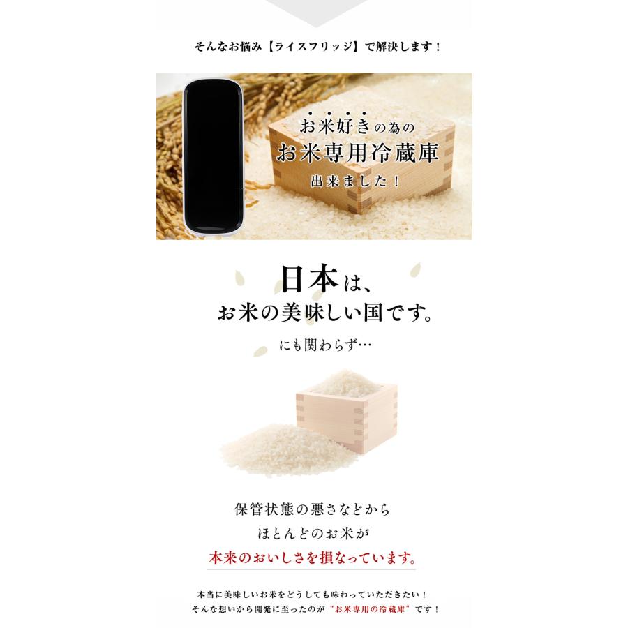 2000円OFFクーポン利用可 豪華特典付き ライスフリッジ トール お米