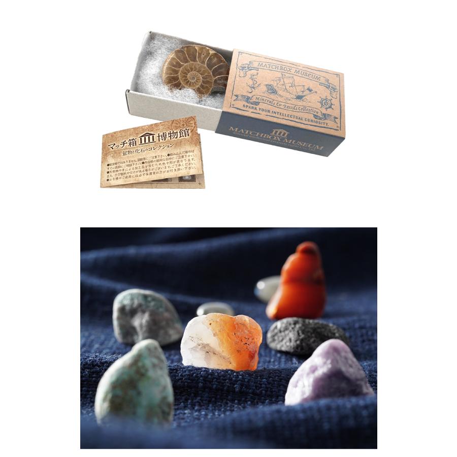 送料250円でまとめて発送！】化石や鉱物が入っているマッチ箱博物館