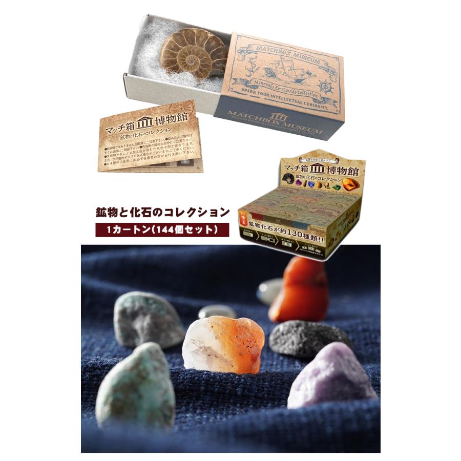 化石や鉱物が入っているマッチ箱博物館 1カートン(144個セット) 鉱物と