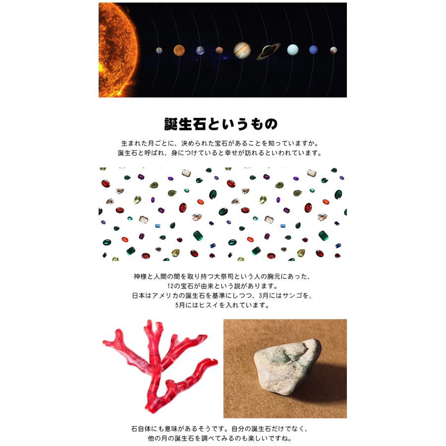 月刊化石コレクション 全12巻セット 月刊化石コレクション 全12巻セット 月刊化石コレクション 全12巻