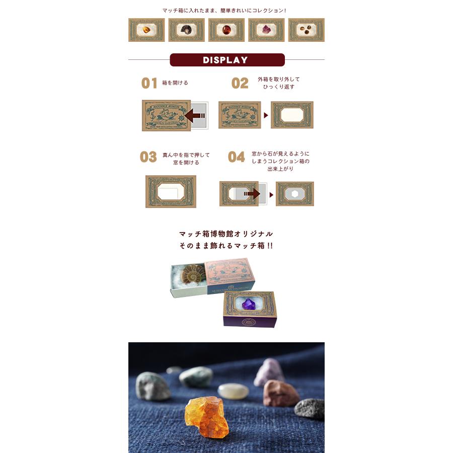 化石や鉱物が入っているマッチ箱博物館 1カートン(144個セット) 鉱物と