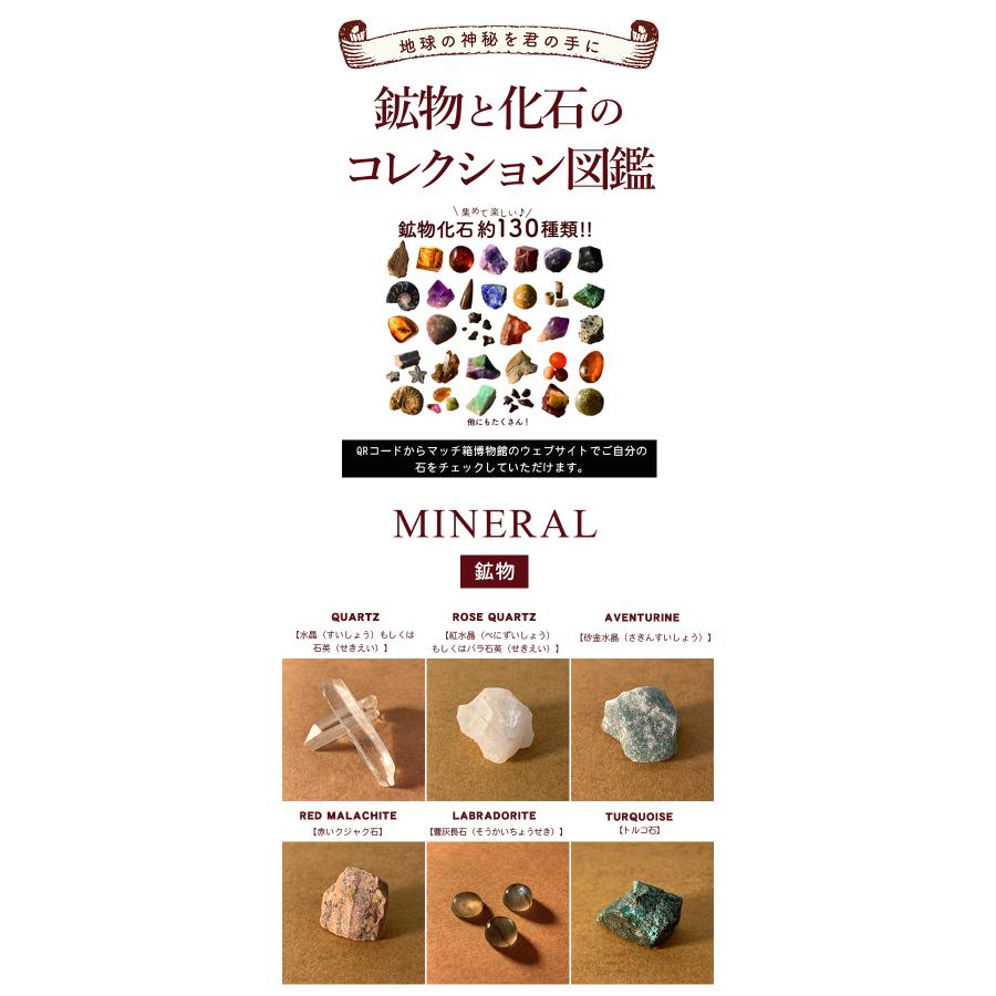 化石や鉱物が入っているマッチ箱博物館 1カートン(144個セット) 鉱物と