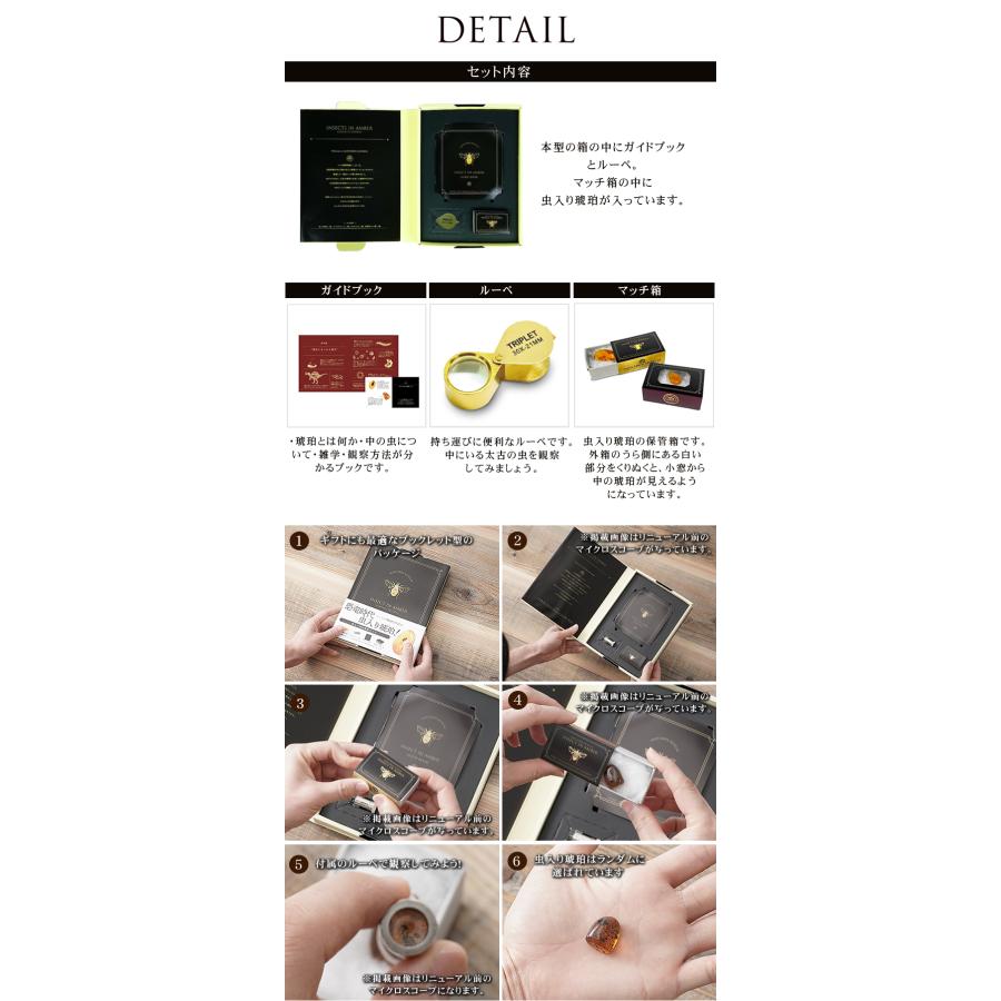 鉱石 虫入り琥珀 玉髄 トルコ石 ルチル 8点セット 鉱石 虫入り琥珀