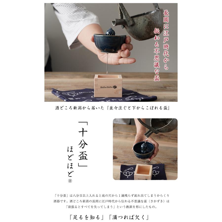 ひょうたん十分盃ほどほど ギフトセット 磁器 青磁 日本酒 酒