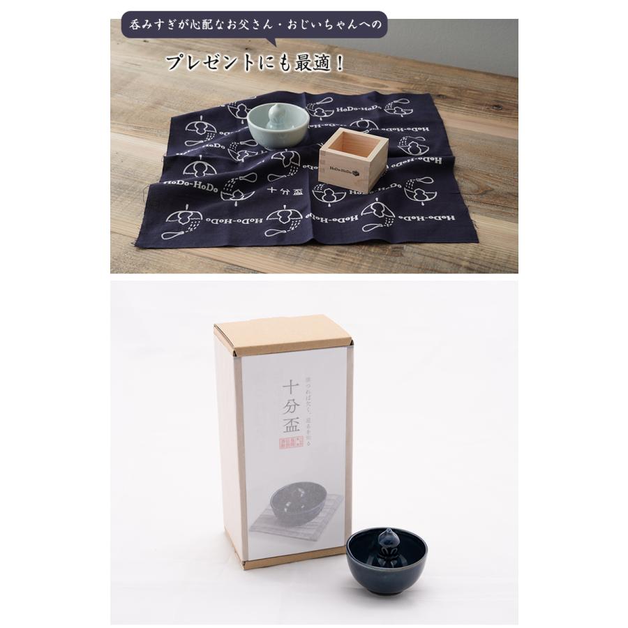 ひょうたん十分盃ほどほど ギフトセット 磁器 青磁 日本酒 酒