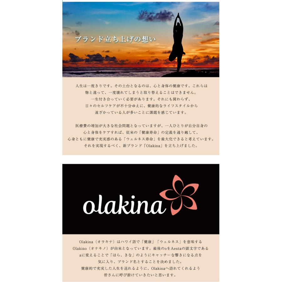 Olakina オラキナ 2個セット ストレッチボール フィットネスボール