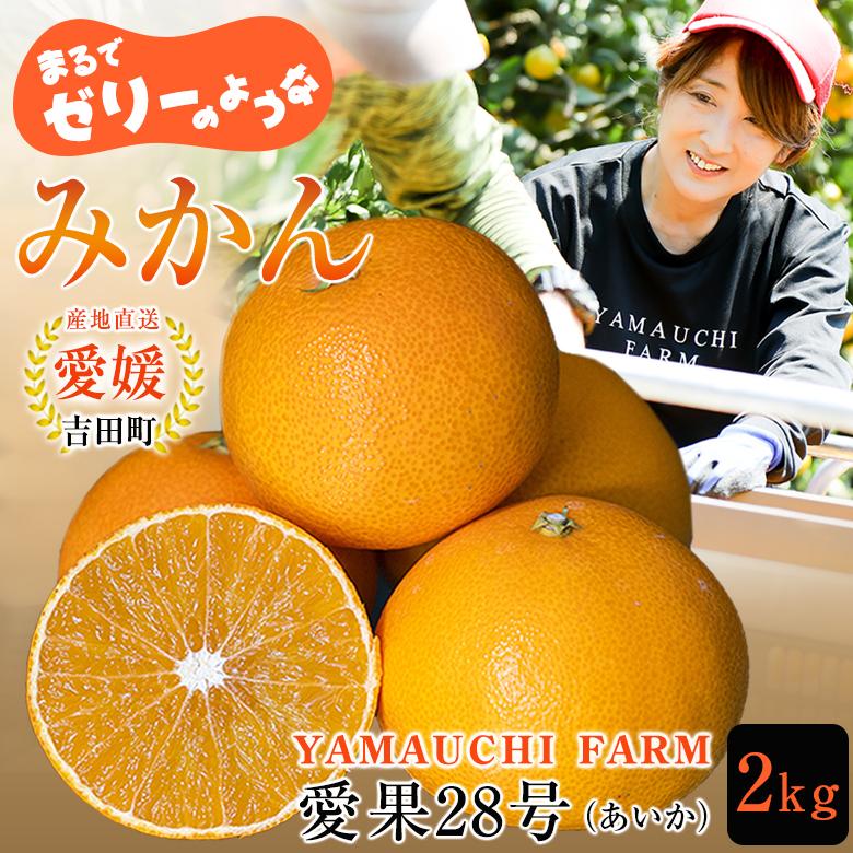 愛媛県中島産　愛果28号　B＋C品　20kg 愛媛県中島産 愛果28号 B＋C品 20kg 【公式通販】