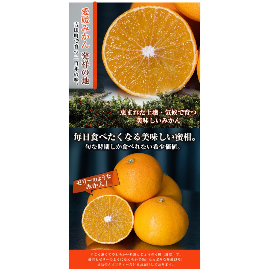 愛媛県産　家庭用　小玉　愛果28号　柑橘　15kg 小玉】愛果28号 (紅まどんな と同品種) 約3kg | 愛媛県松山市