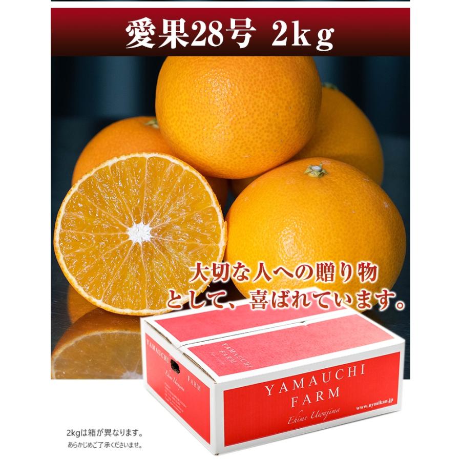愛媛県中島産　愛果28号　B＋C品　20kg 希望の島 愛果28号 家庭用 約3kg 愛媛 中島産 | 愛媛県松山市