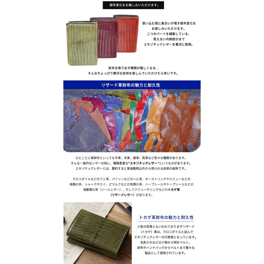 リザード革 ミニ財布 テジュー トカゲ革 財布 リザードレザー ヤクルス