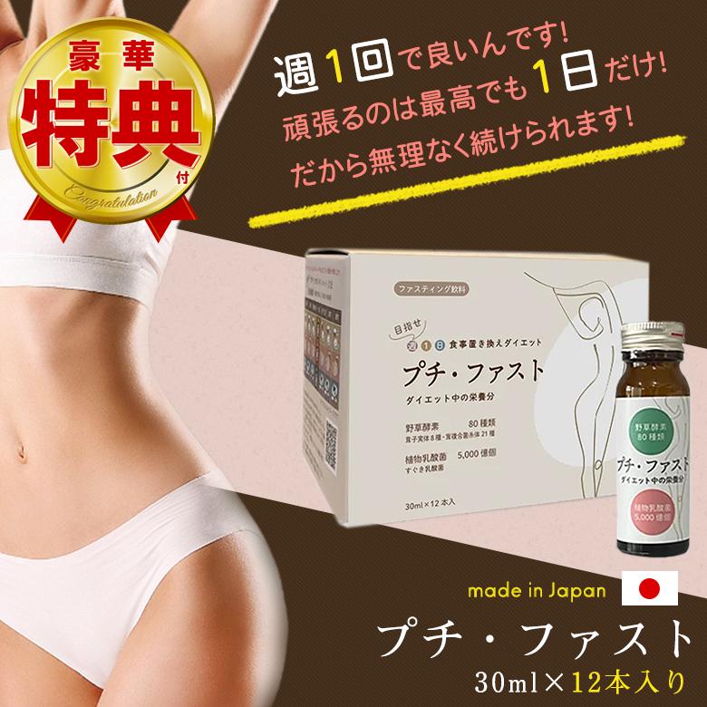 ファスティングセット 置き換えダイエット 新品 未使用 ファスティング